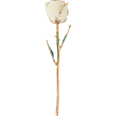 24K Solid Gold Rose- White